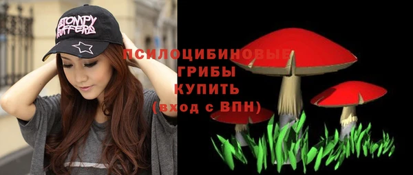 a pvp Абинск