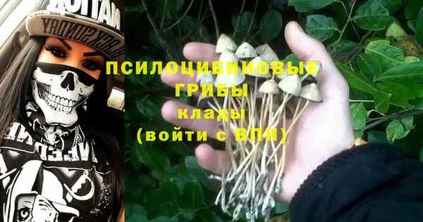 дмт Абаза