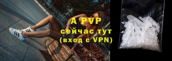 дмт Абаза