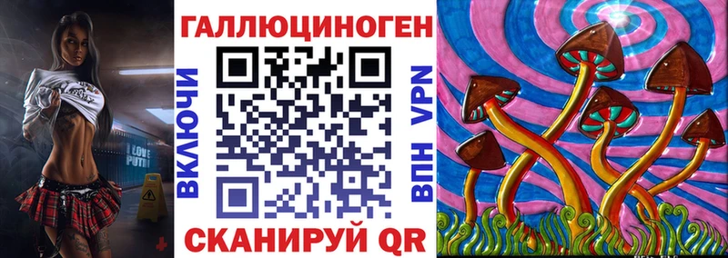 Псилоцибиновые грибы GOLDEN TEACHER  блэк спрут ТОР  Александровск 